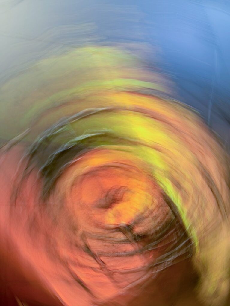 Turbulences florales
