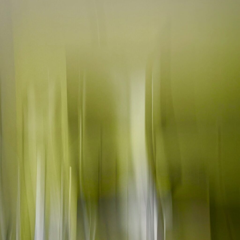 Flou aromatique